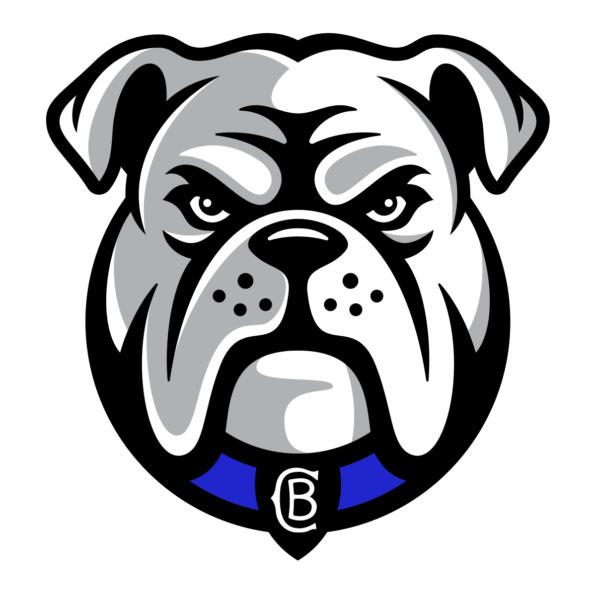 John Quinn Bankstown Bulldogs